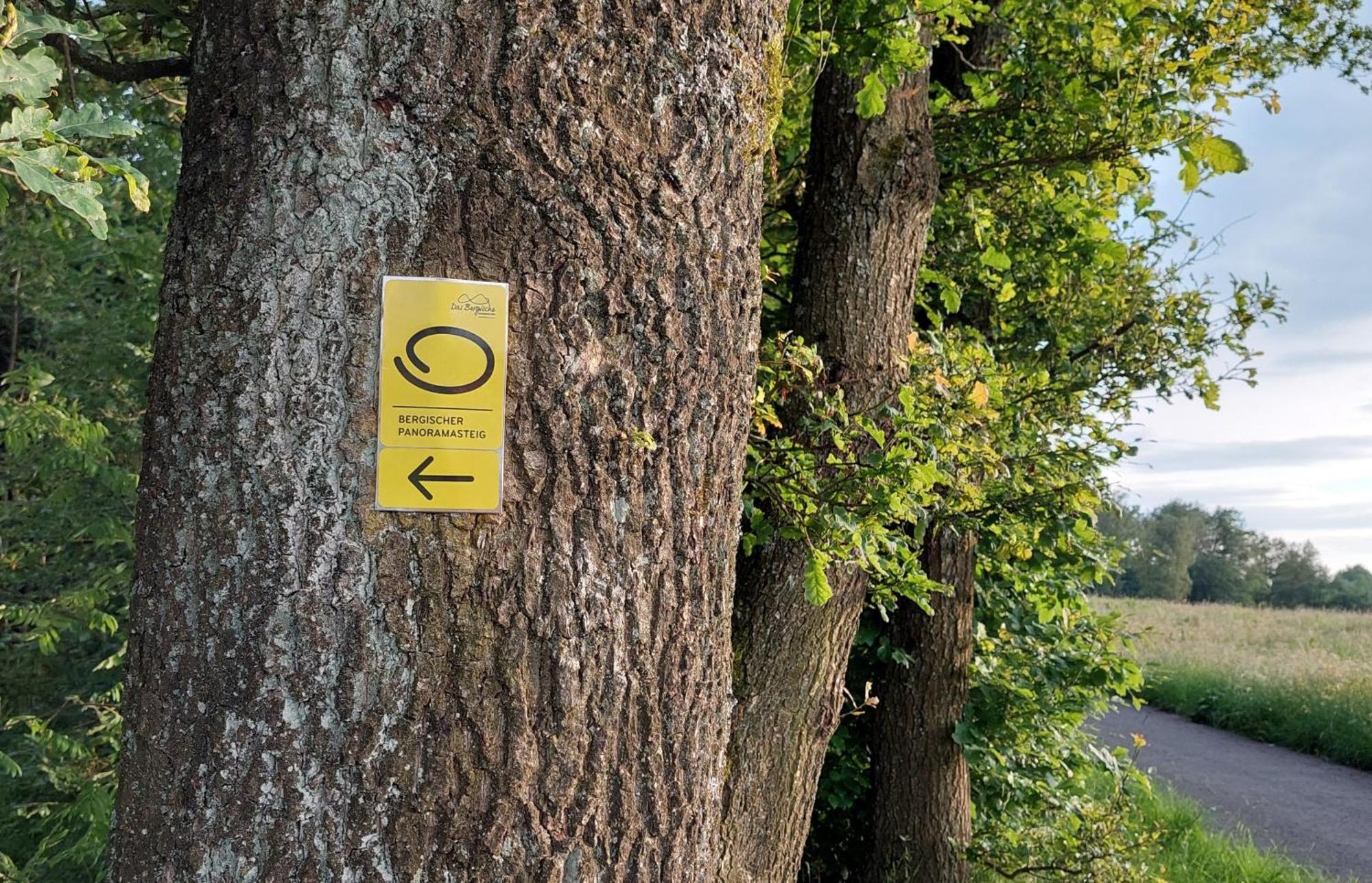 Ferienwohnung Waldbroel - Nahe Naturerlebnispark Waldbrol Buitenkant foto