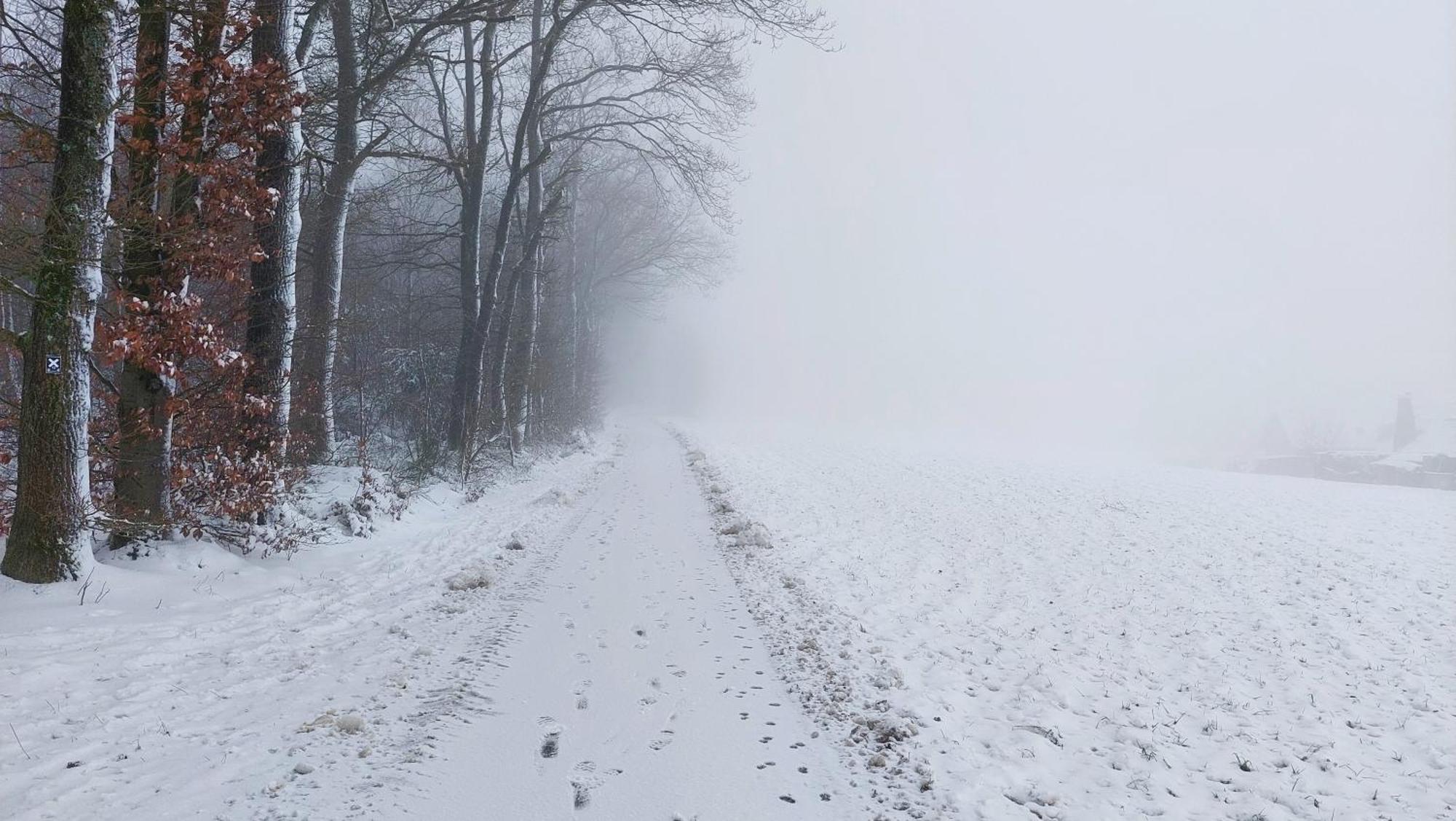 Ferienwohnung Waldbroel - Nahe Naturerlebnispark Waldbrol Buitenkant foto